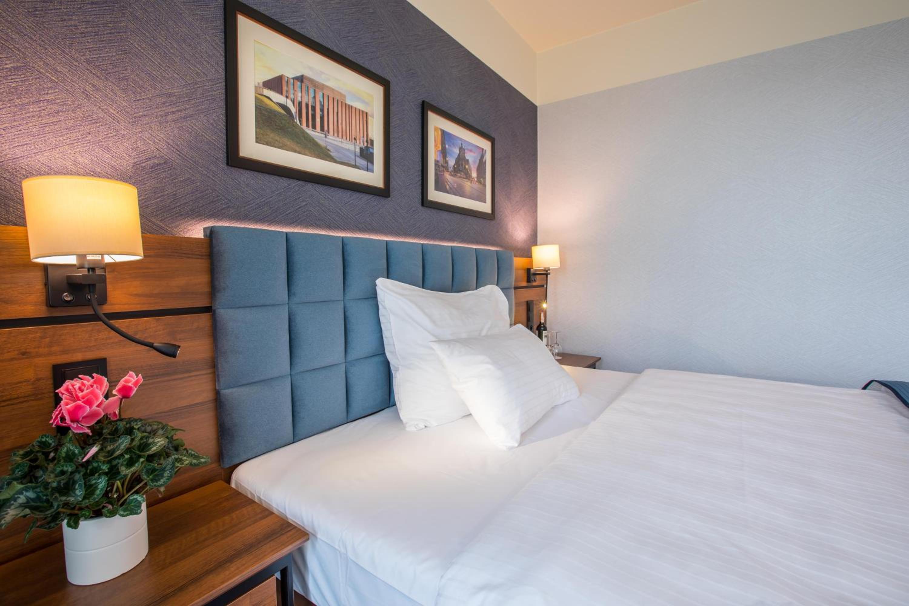 Deluxe Double or Twin Room - Photo 6