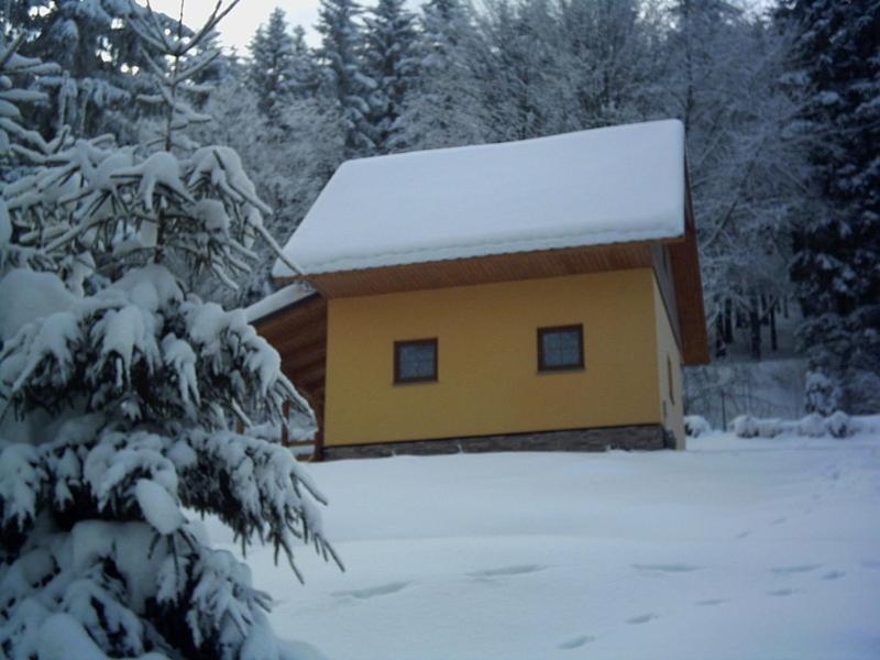 Vacation Home photo 2