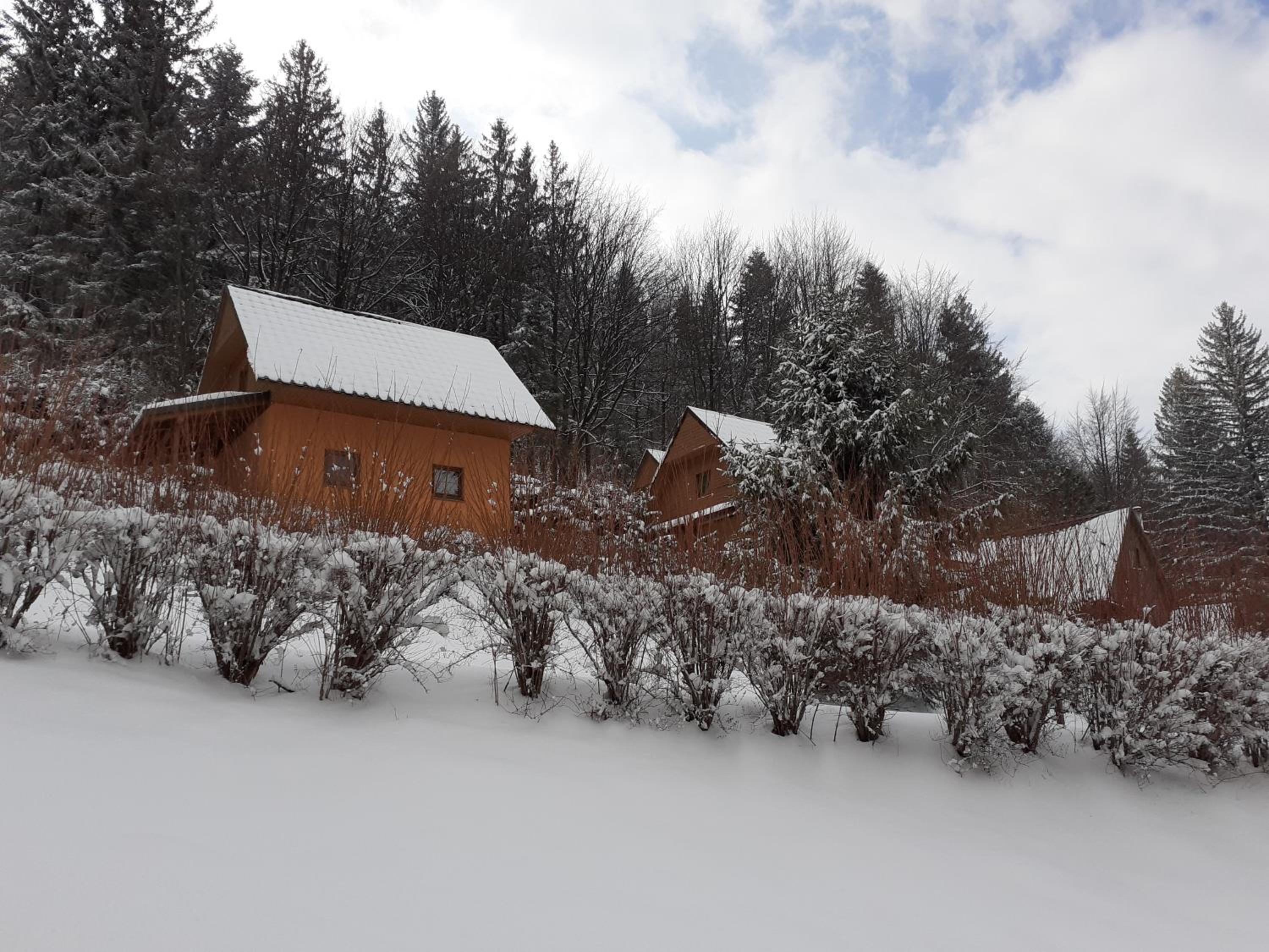 Vacation Home photo 3