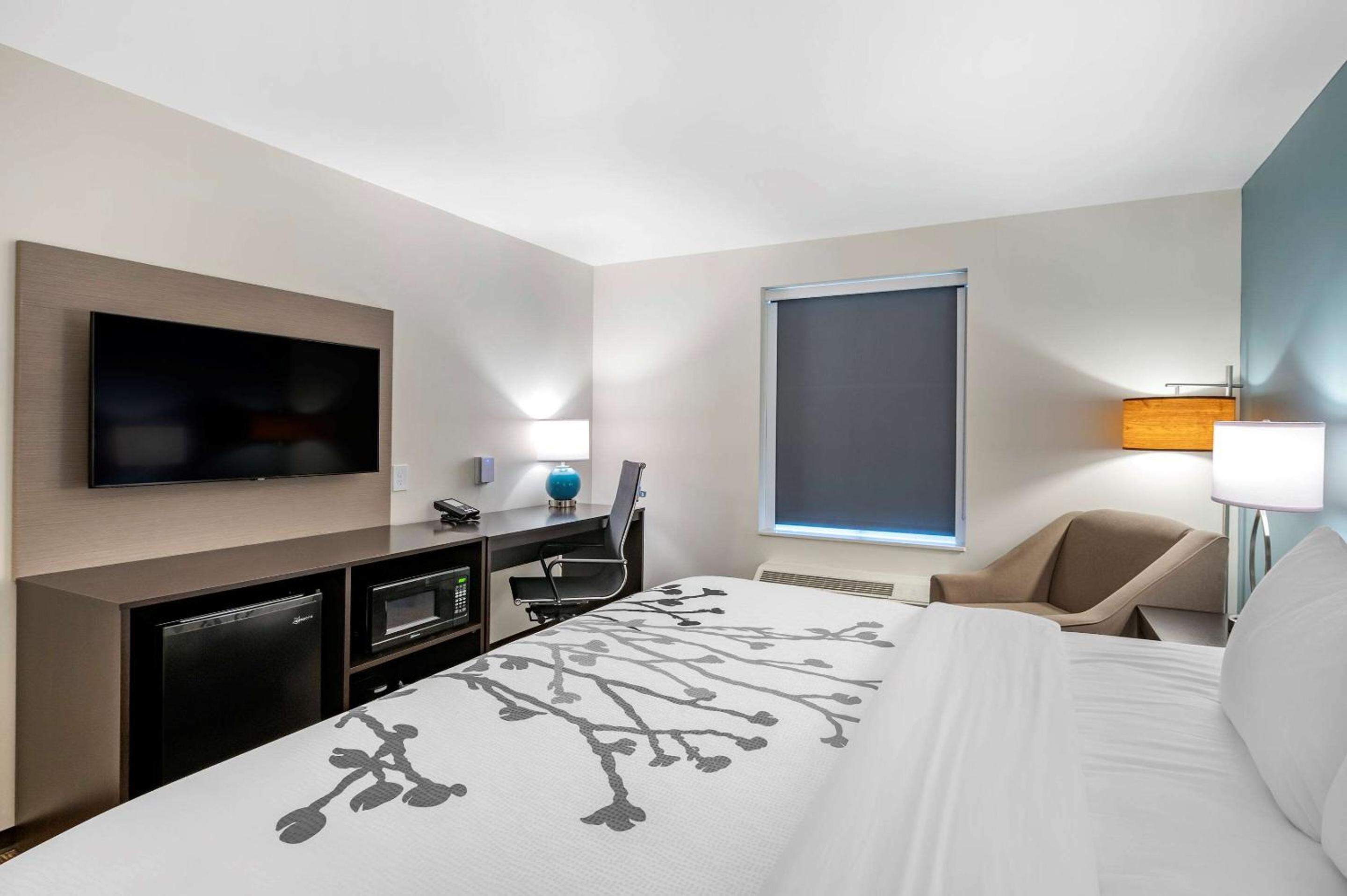 Standard King Room - Non Smoking - Photo 1