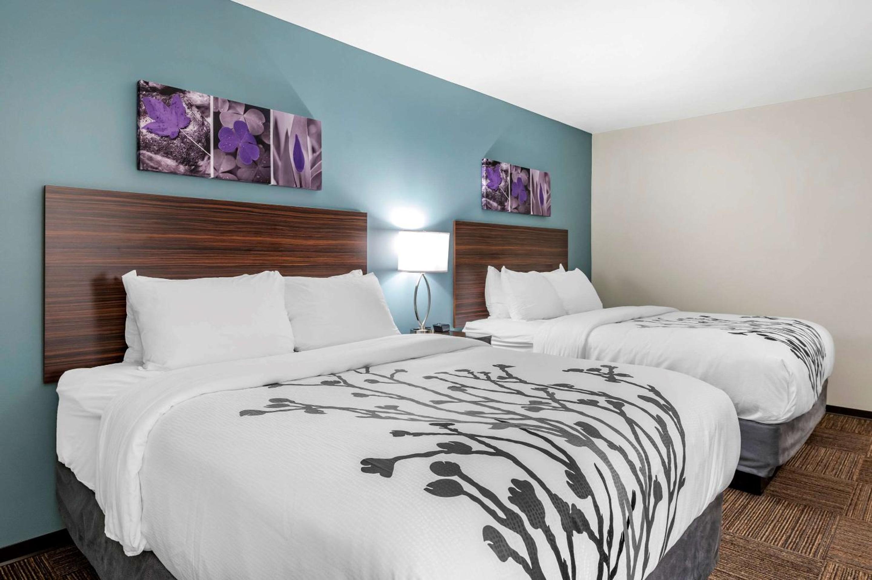 Standard Queen Room with Two Queen Beds - Non Smoking  - Photo 7