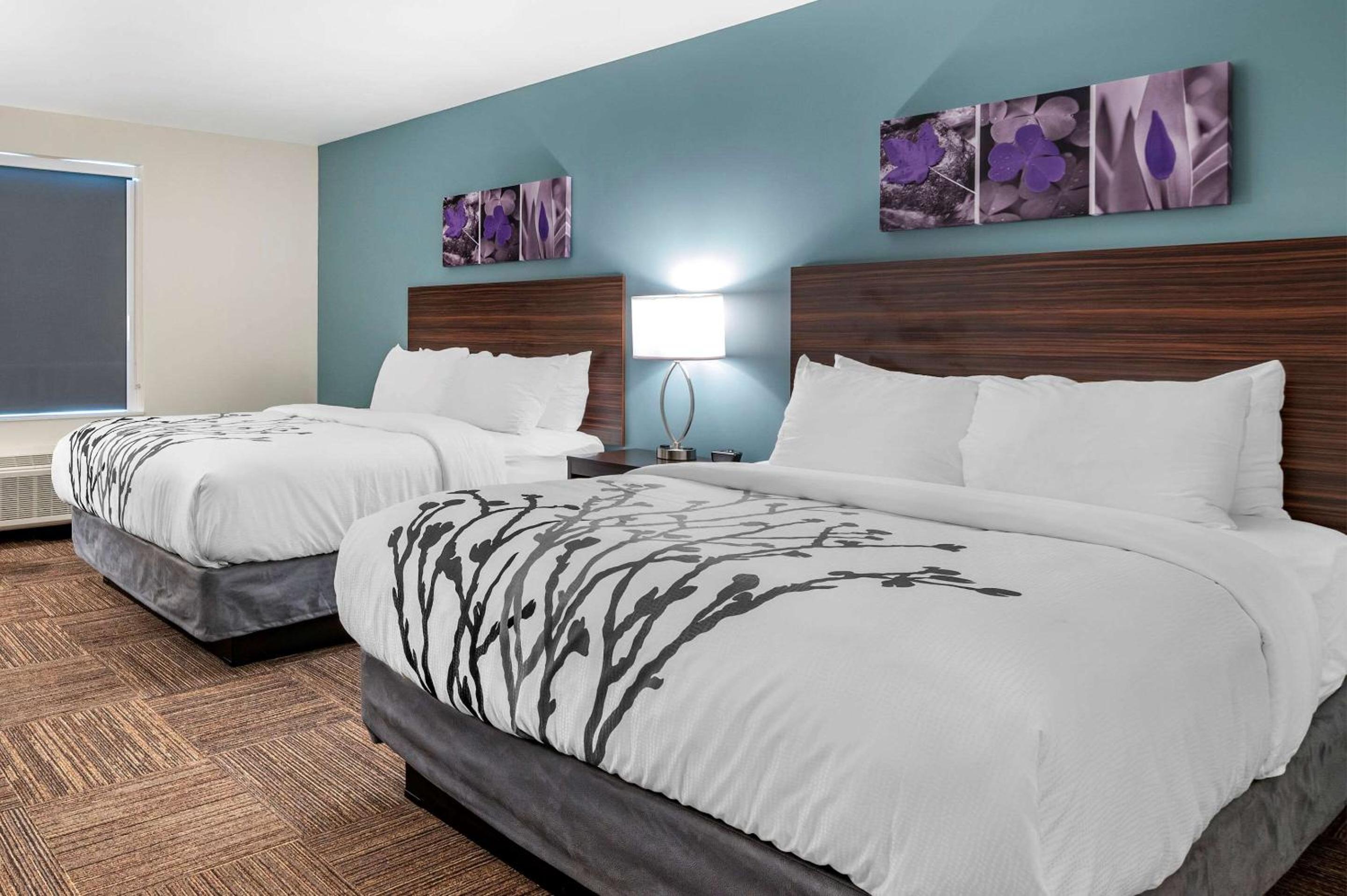 Standard Queen Room with Two Queen Beds - Non Smoking  - Photo 4