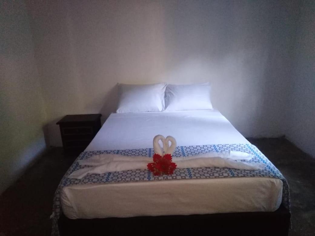 Economy Twin Room photo 3