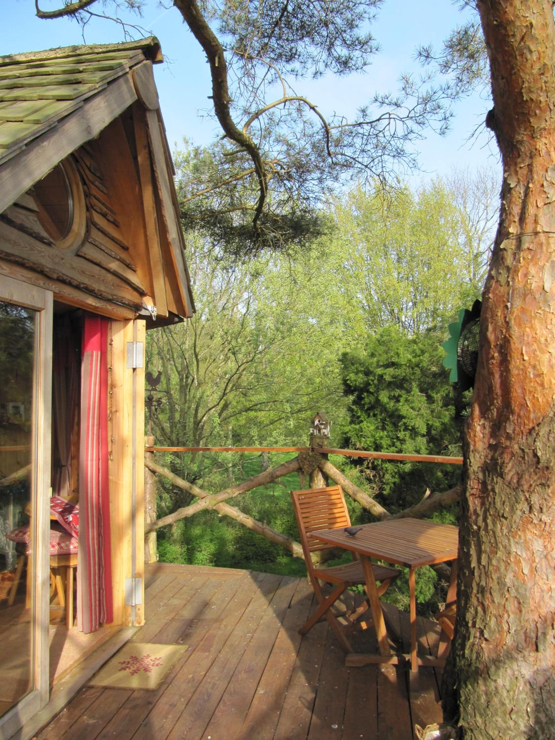 Tree House photo 3