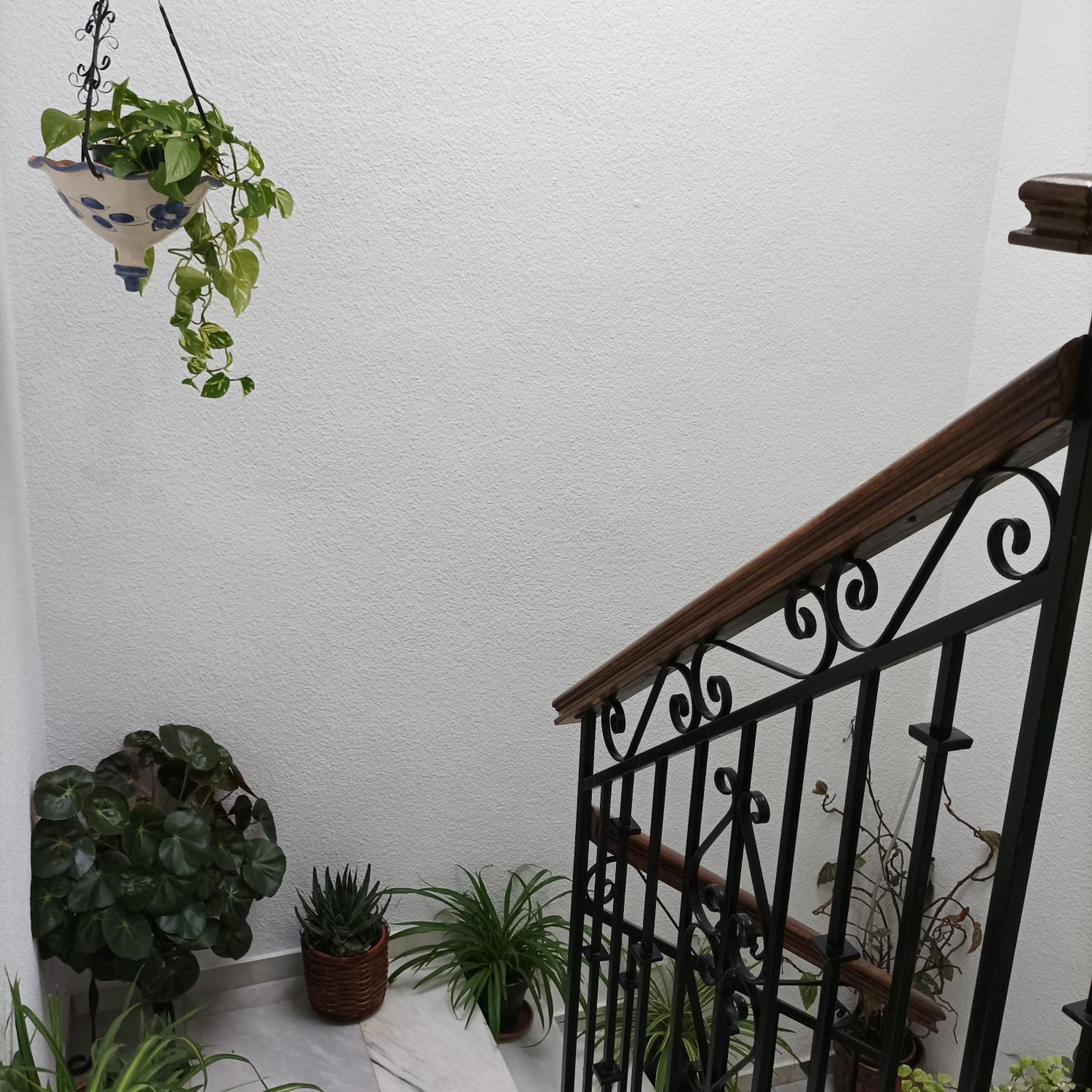 One-Bedroom Apartment - Photo 18