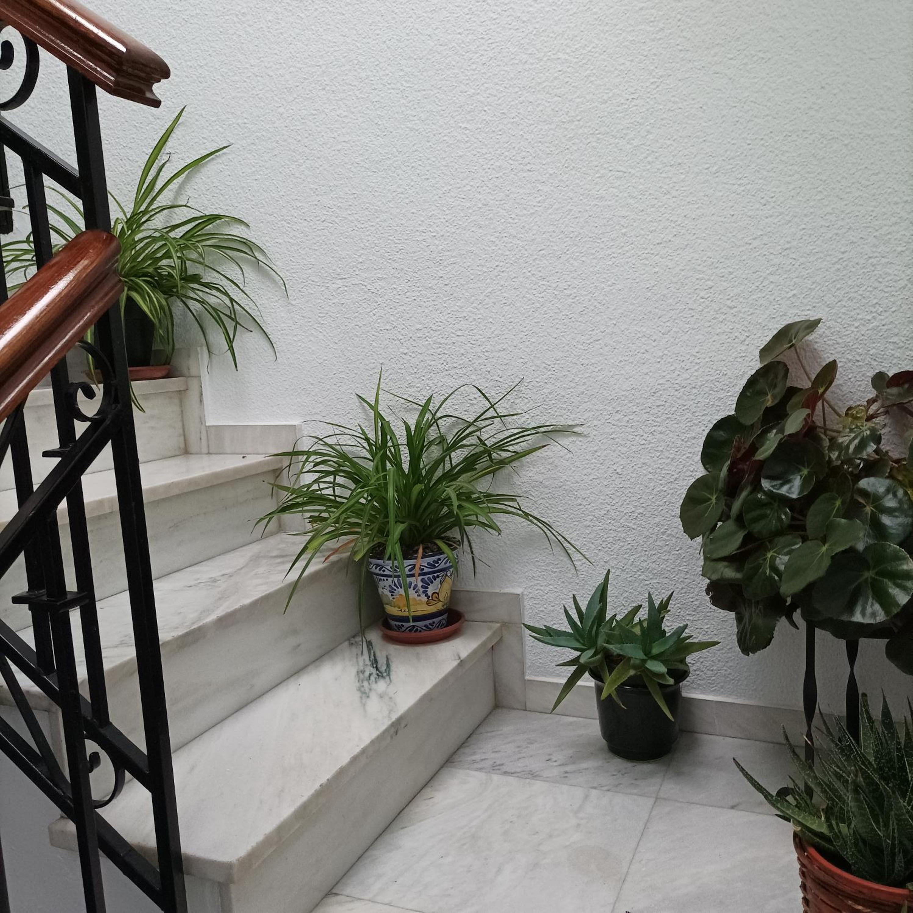 Two-Bedroom Apartment - Photo 13