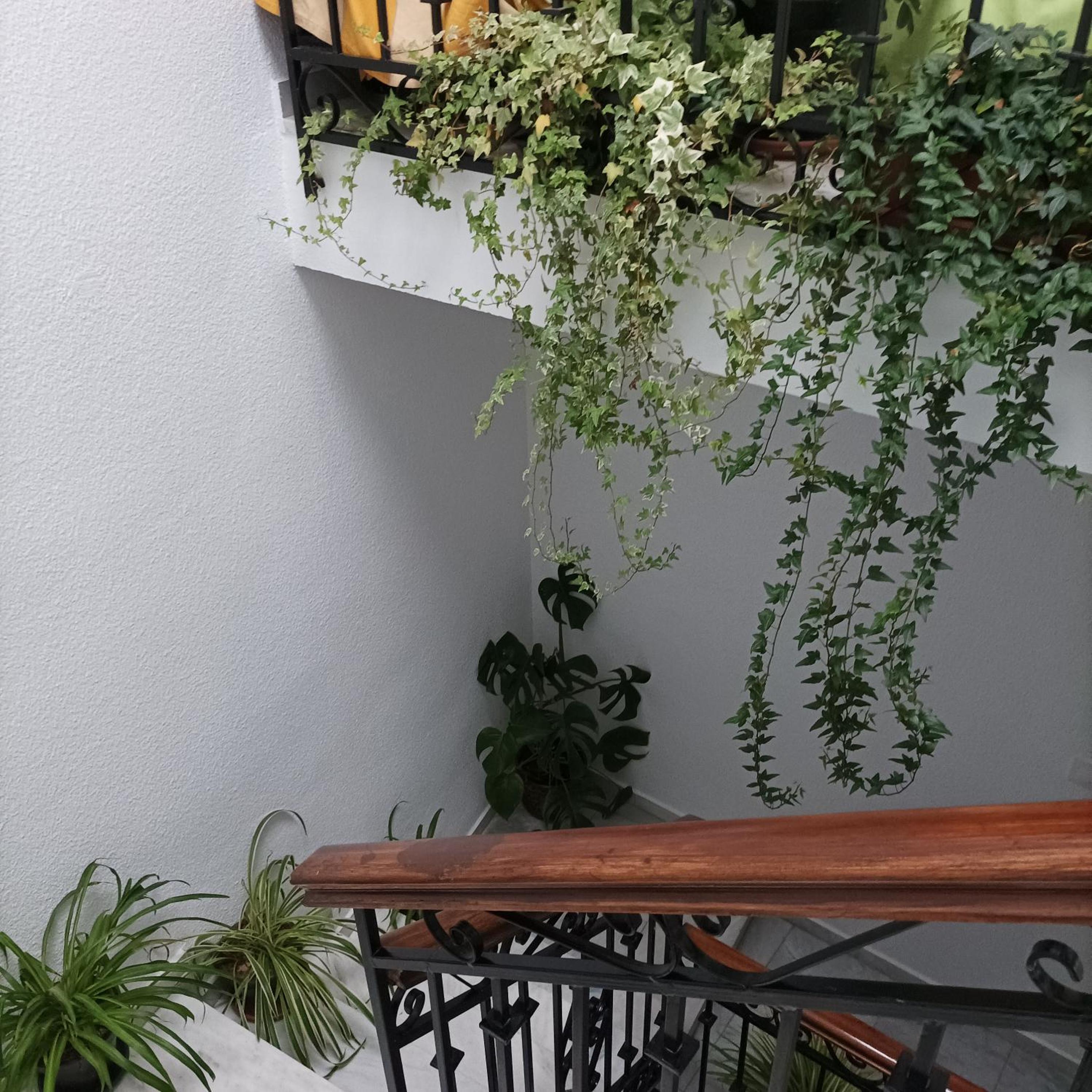 One-Bedroom Apartment - Photo 19