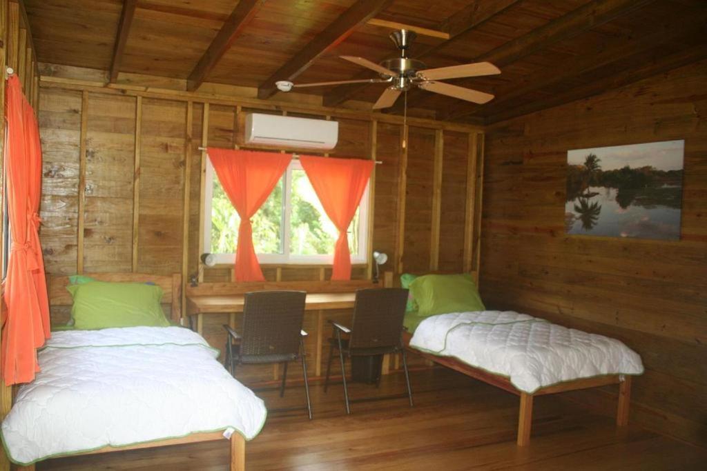 Twin Room photo 3