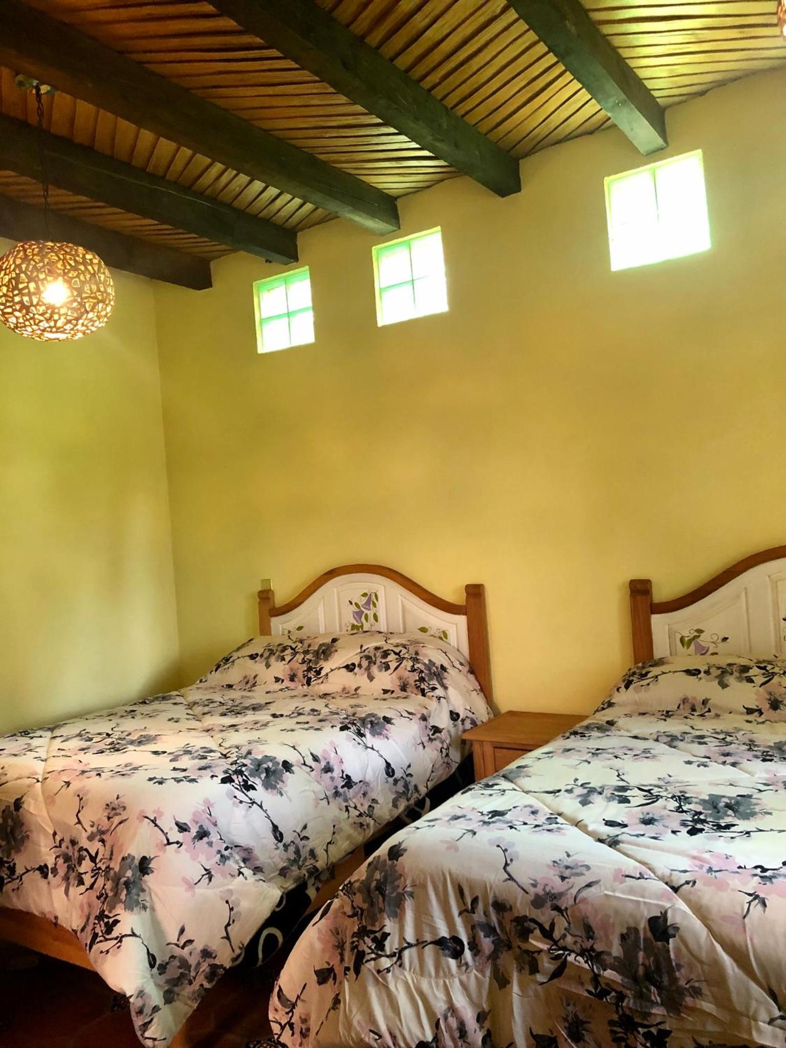 Standard Twin Room - Photo 4