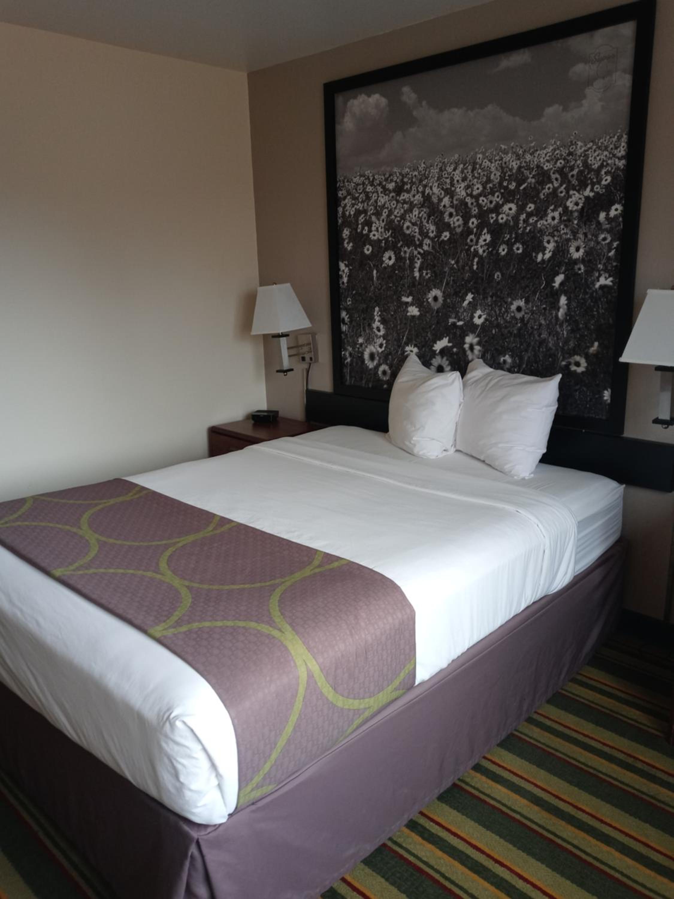 Queen Room - Mobility Access/Non-Smoking - Photo 4