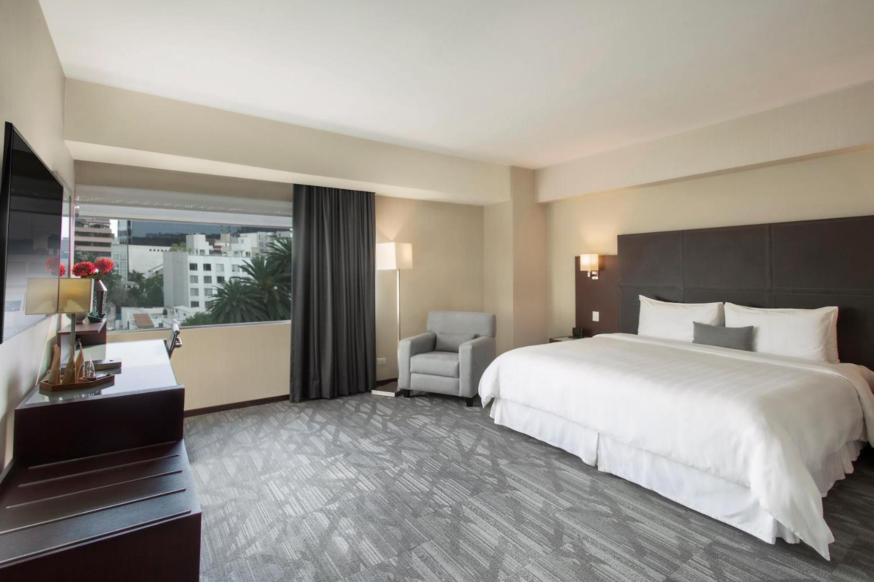 Suite - Photo 5