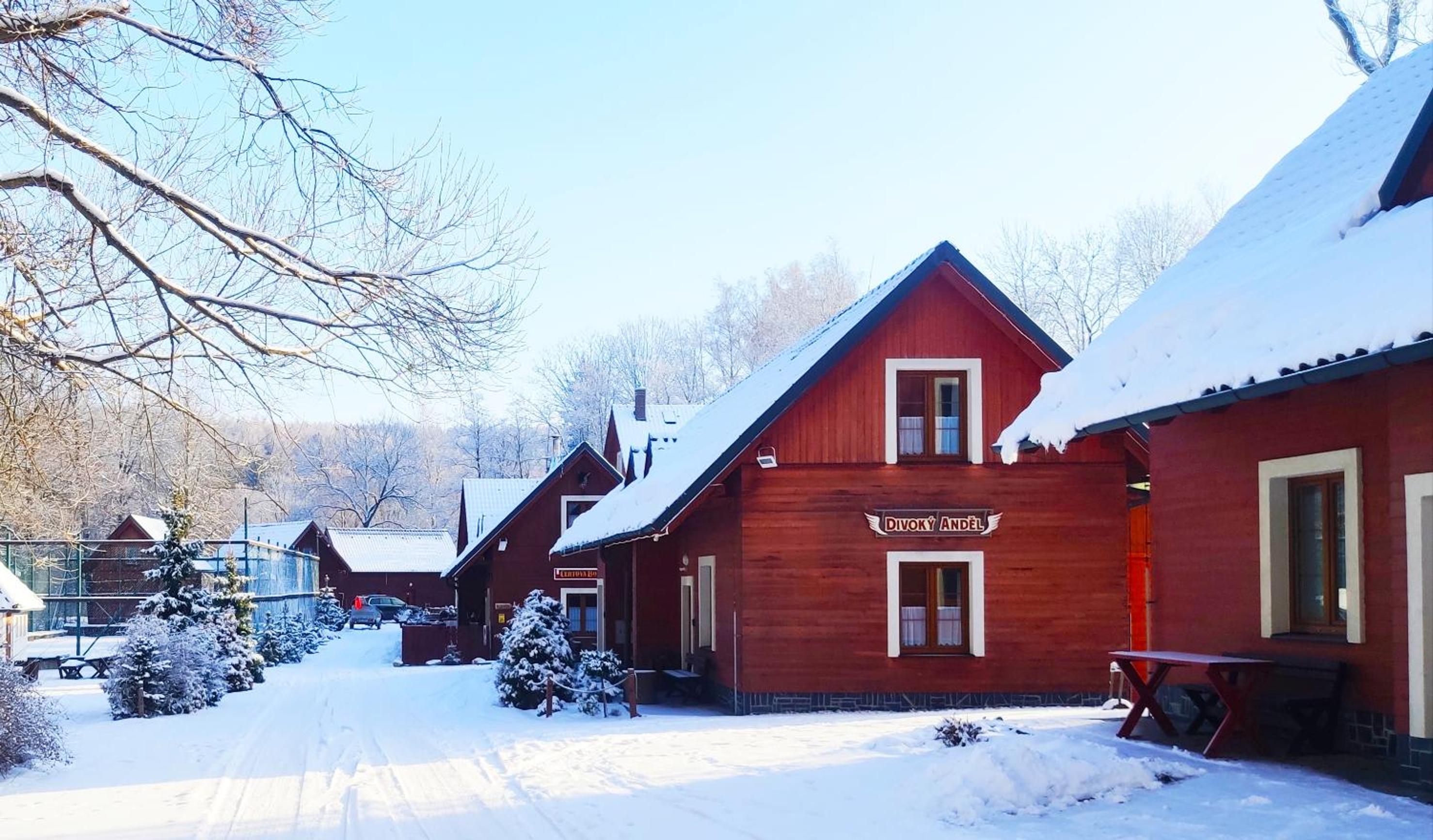 Three-Bedroom Chalet photo 2
