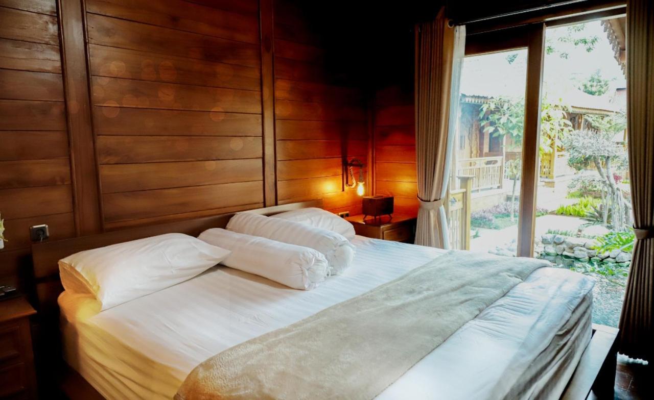 King Suite with Spa Bath photo 1