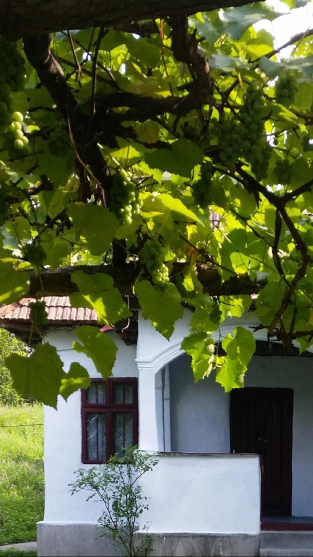 Vacation Home - Photo 2