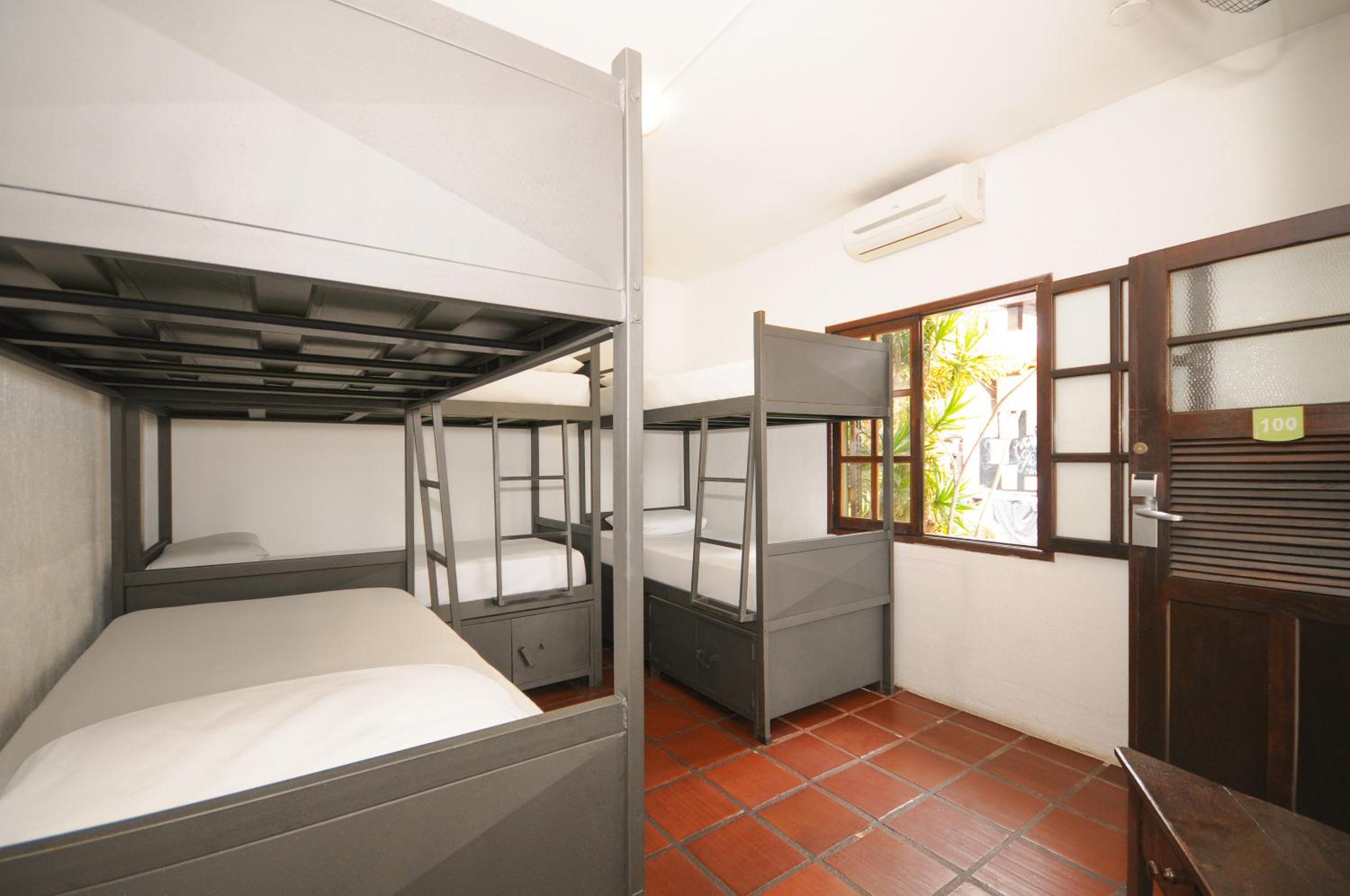 Bunk Bed in Mixed Dormitory Room photo 2