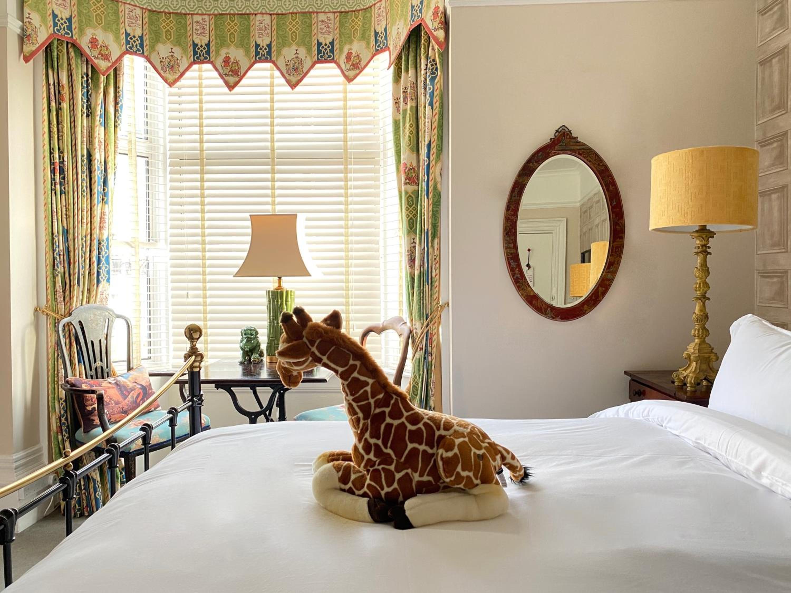 King Room - Photo 7