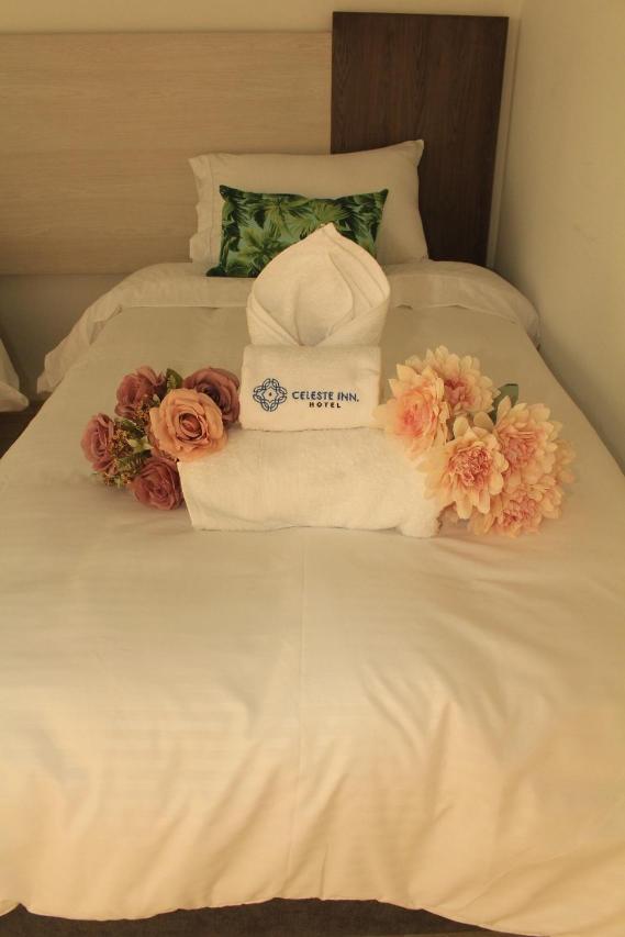 Comfort Triple Room photo 2