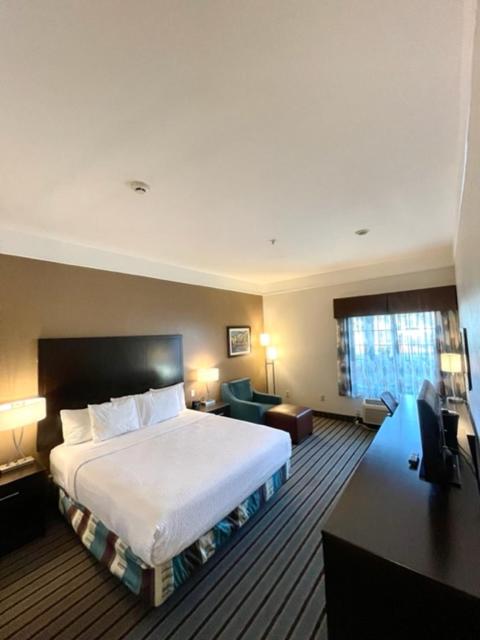 King Room - Photo 2