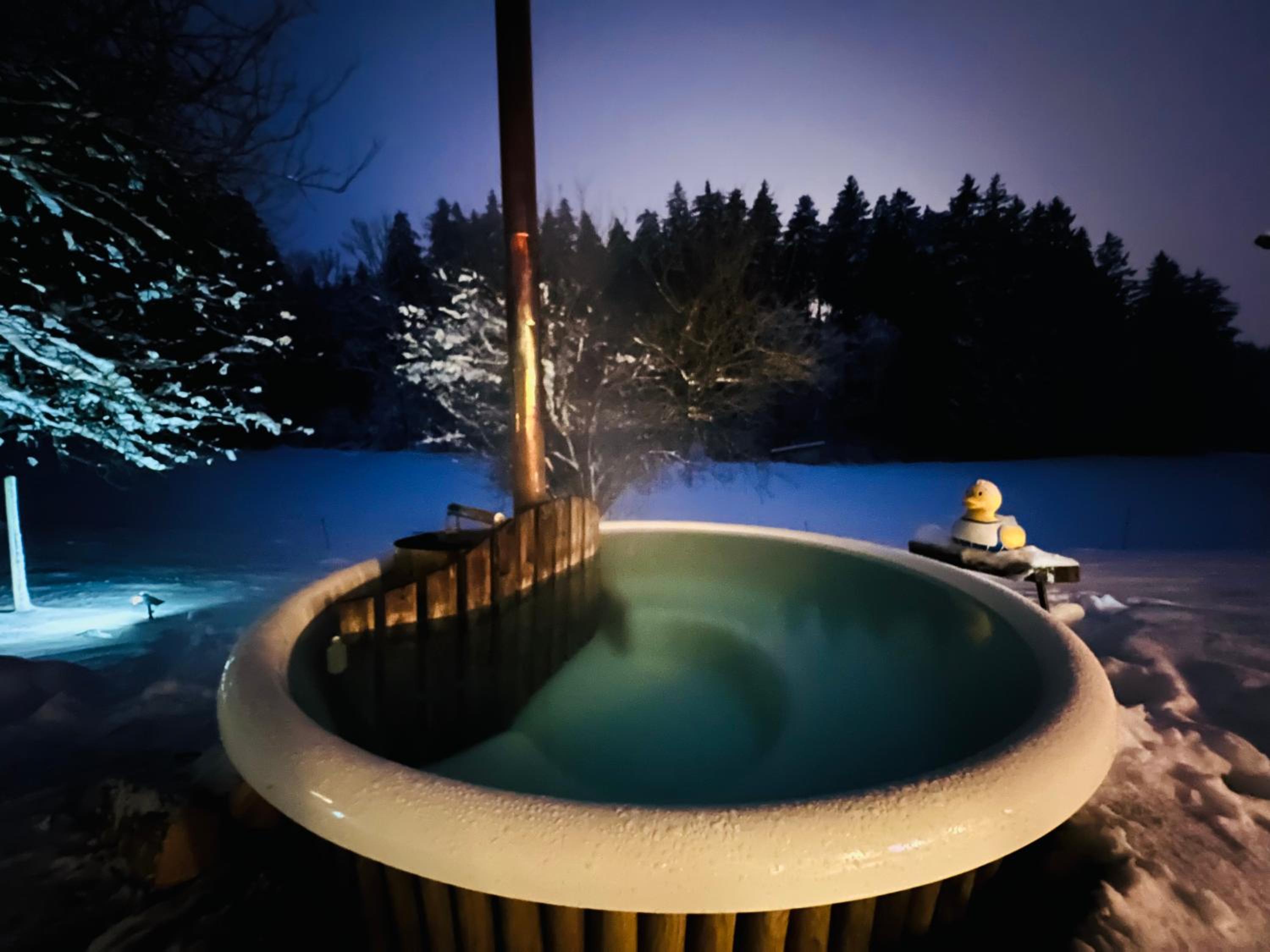 Vacation Home photo 2
