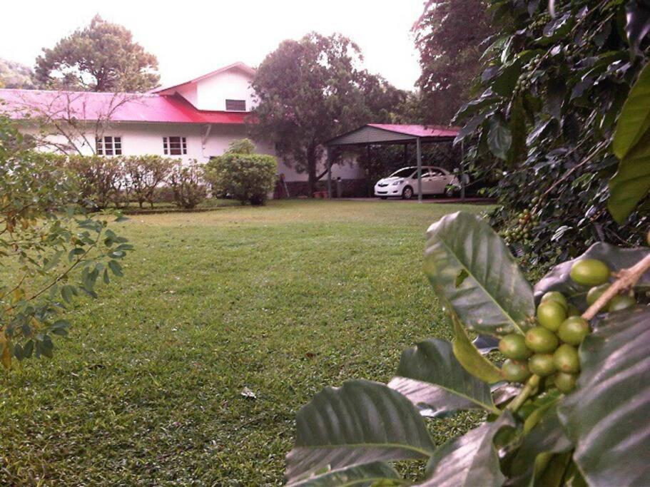 Three-Bedroom House photo 3