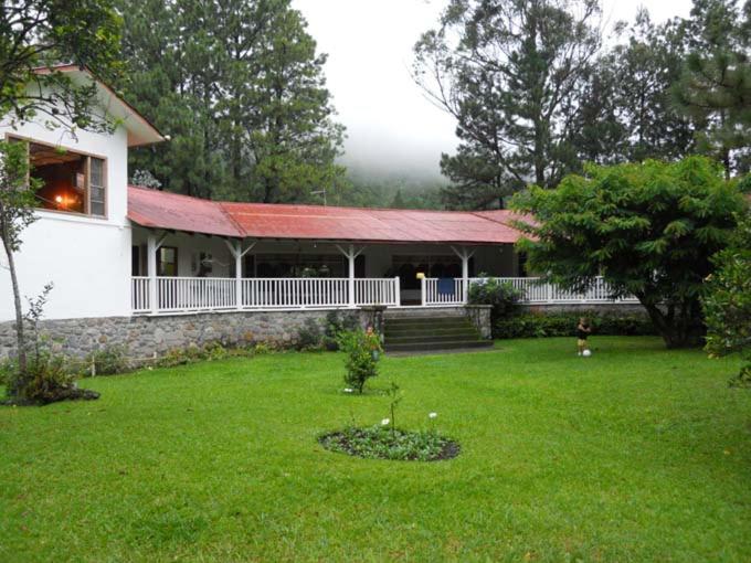 Three-Bedroom House photo 2
