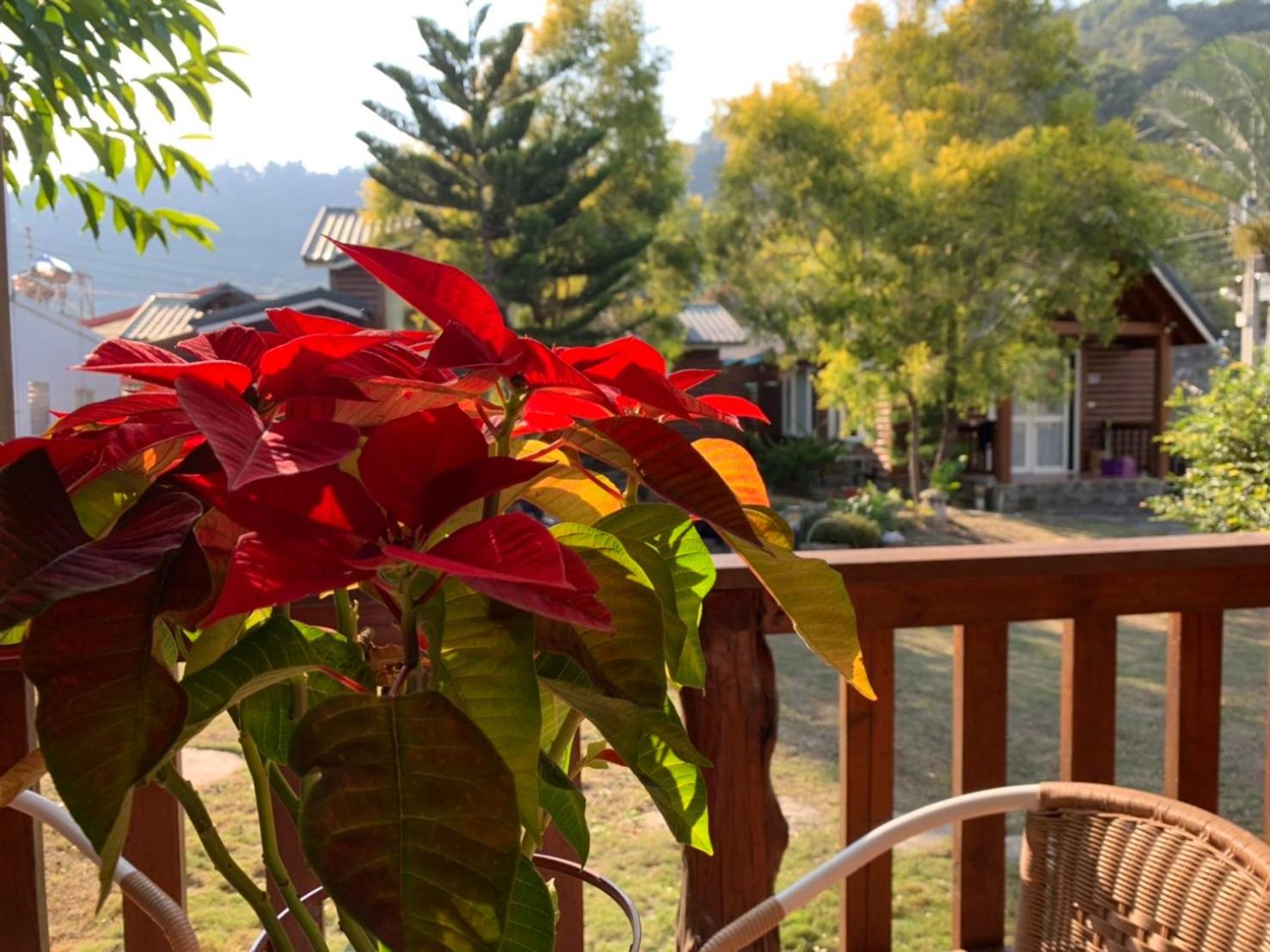 Superior Chalet photo 3