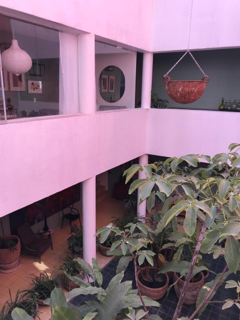 Superior Apartment - Photo 13
