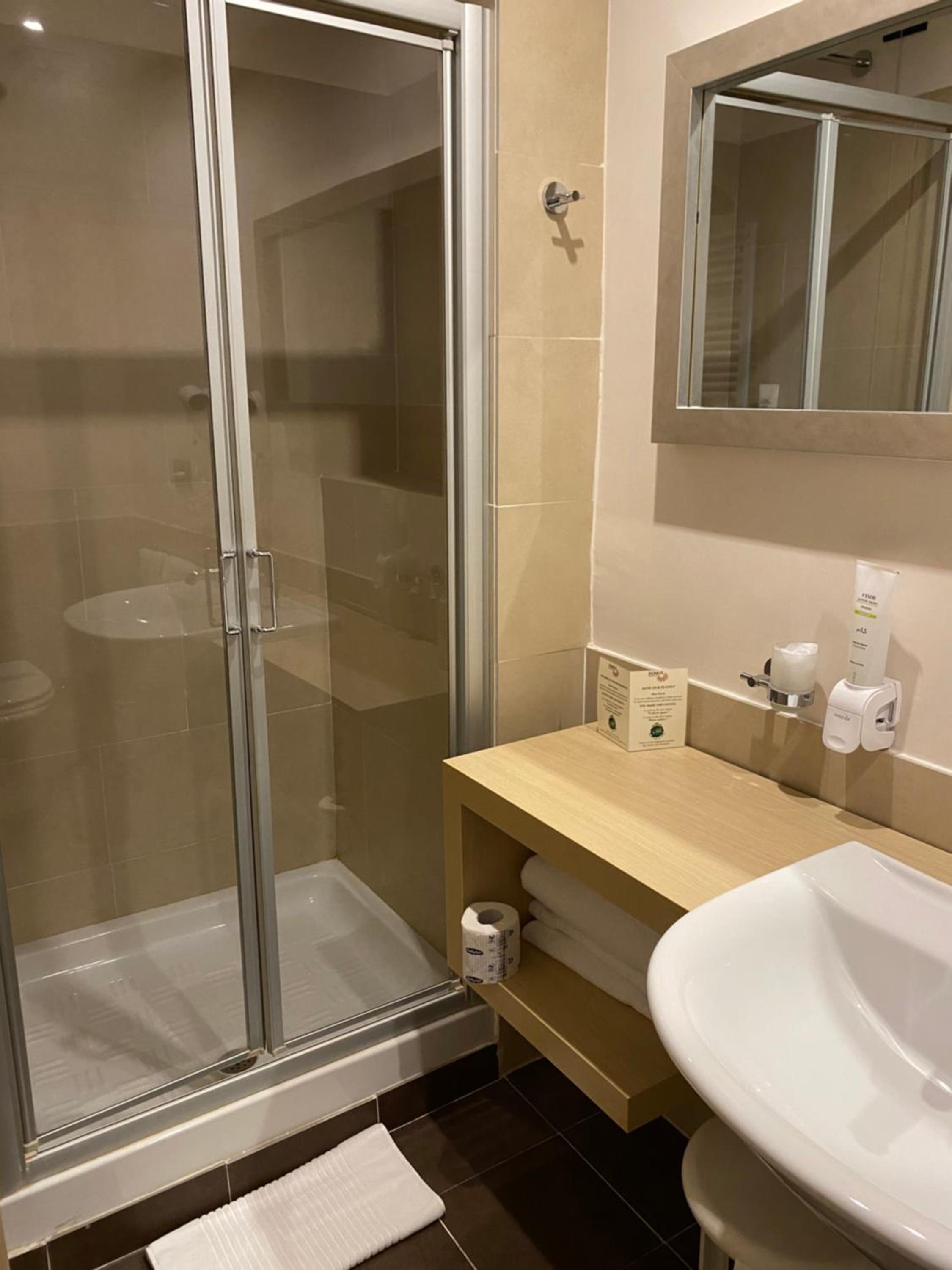 Deluxe Double or Twin Room photo 2