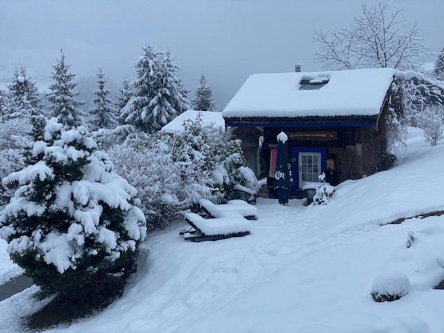 Small Chalet - Photo 30