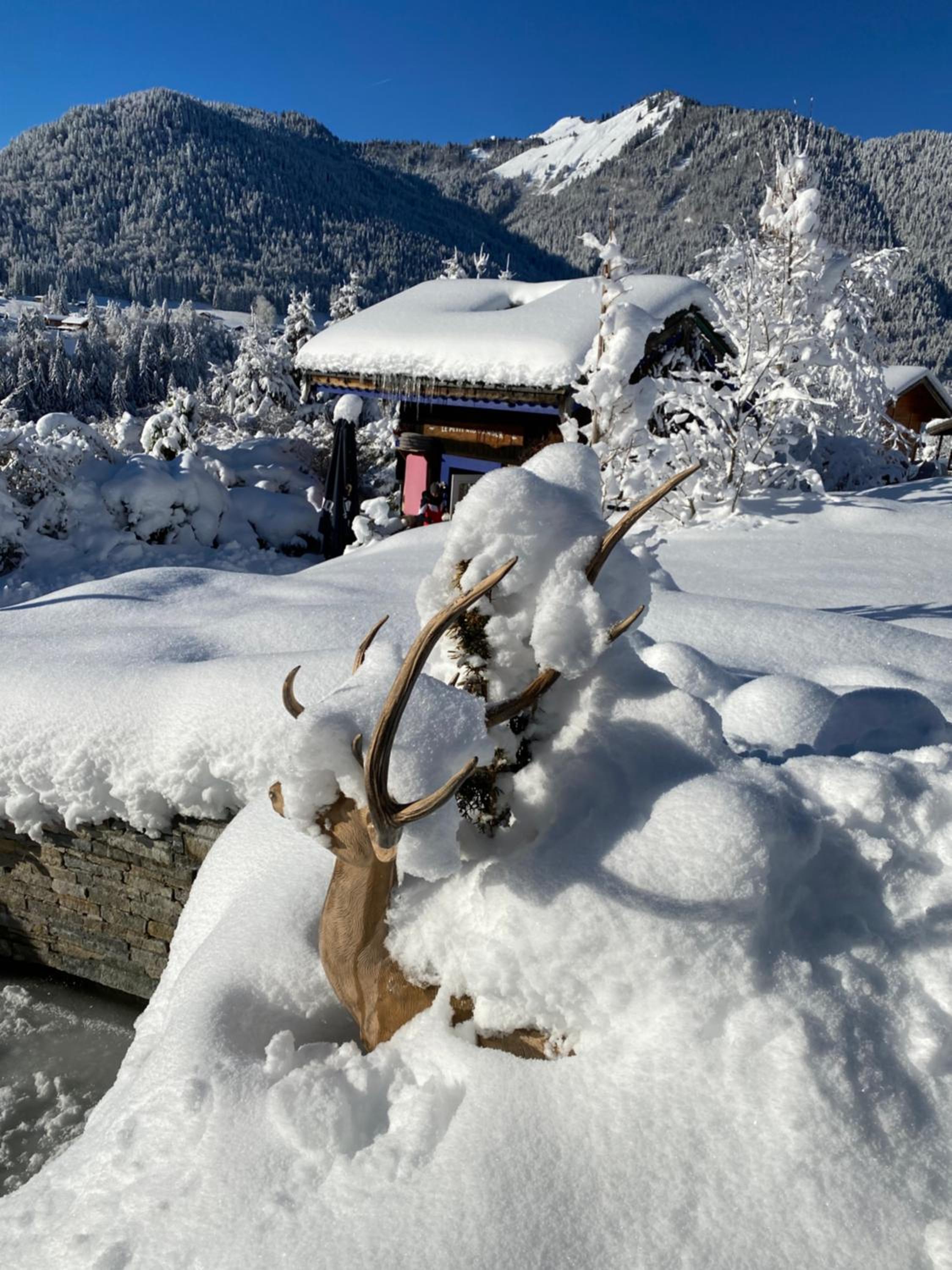 Small Chalet - Photo 32