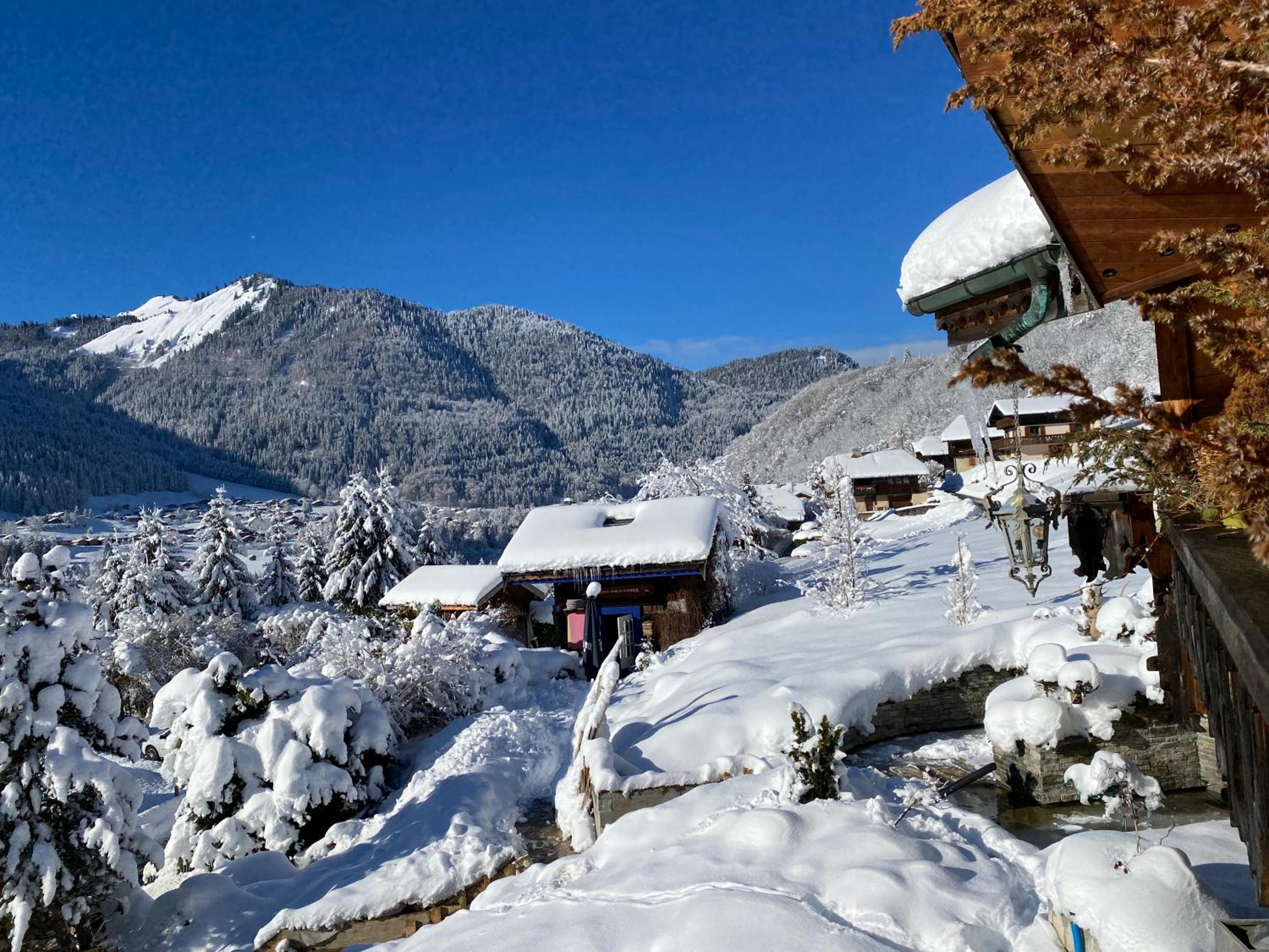 Small Chalet - Photo 33
