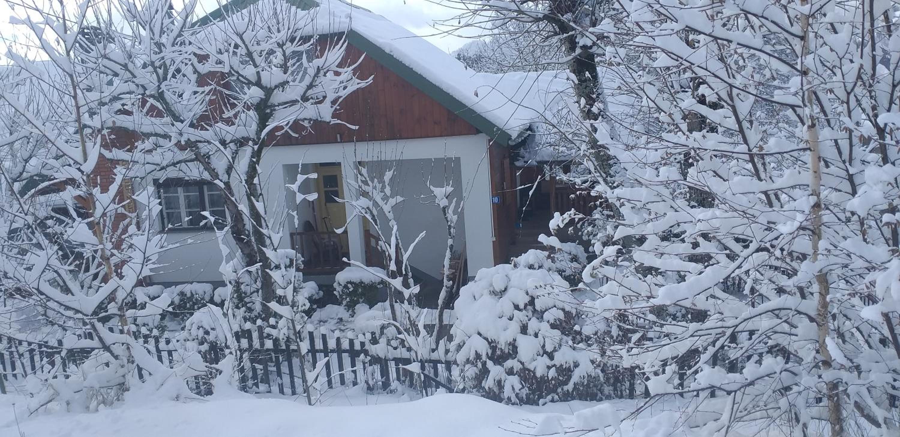 Apartment with Garden View photo 1