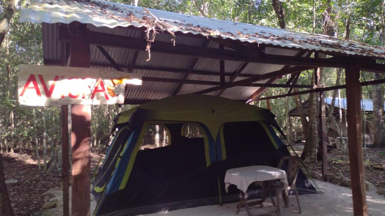 Tent - Photo 4
