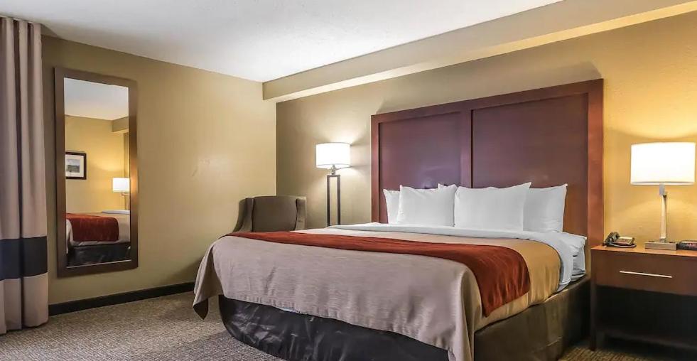 King Room with Roll-In Shower - Accessible/Non-Smoking - Photo 1