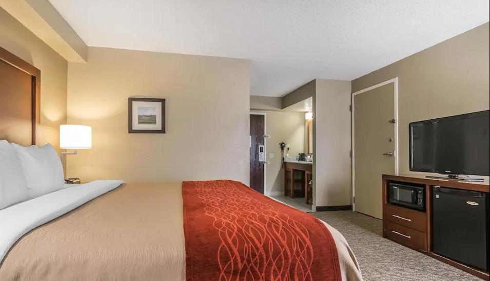 King Room with Roll-In Shower - Accessible/Non-Smoking - Photo 3