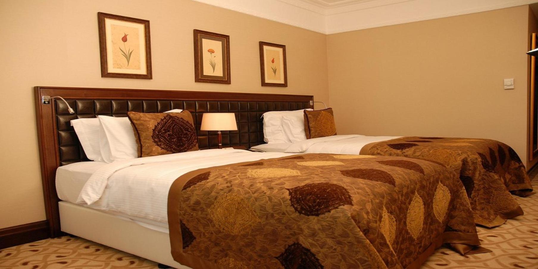 Standard Twin Room with Lounge Access photo 1