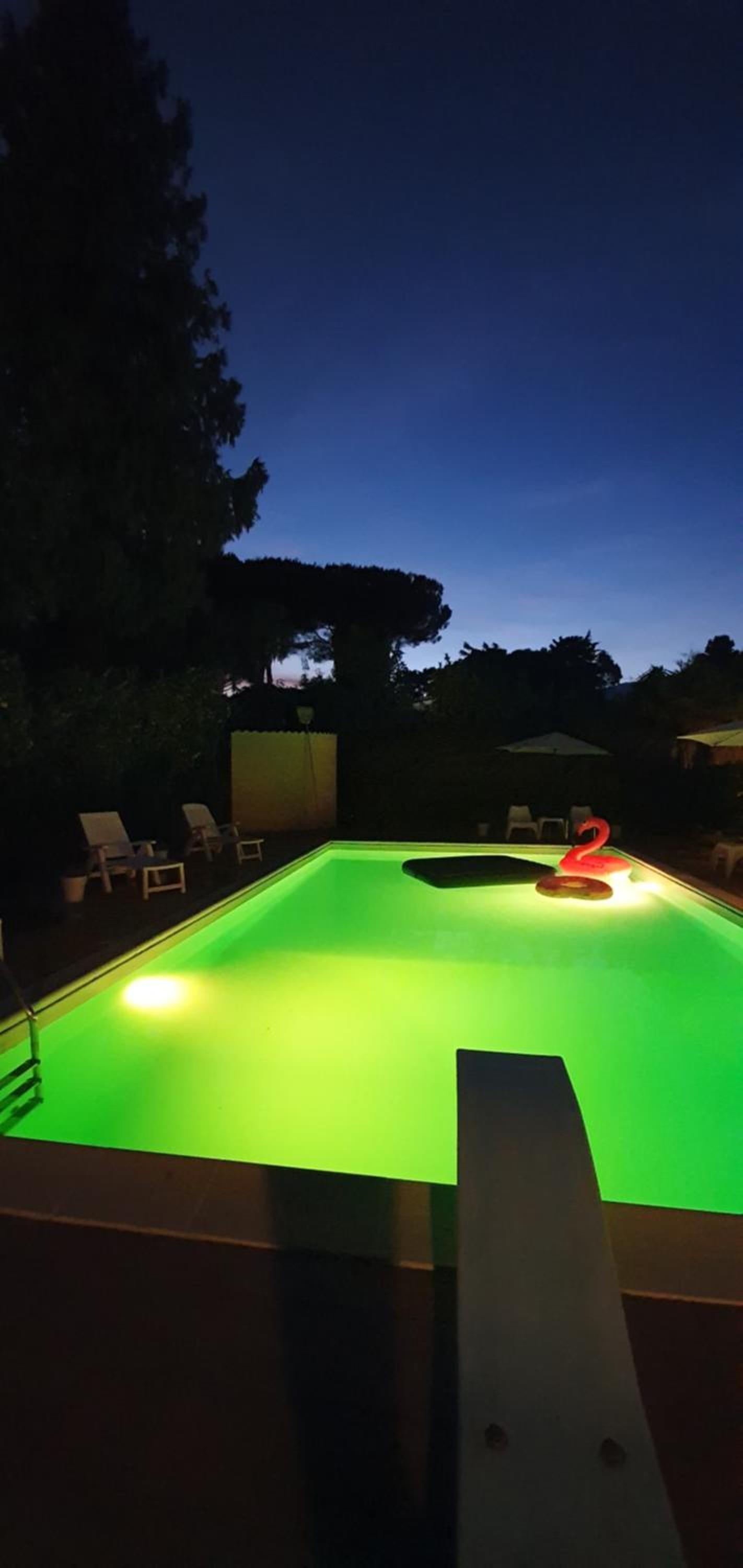 Vacation Home photo 3