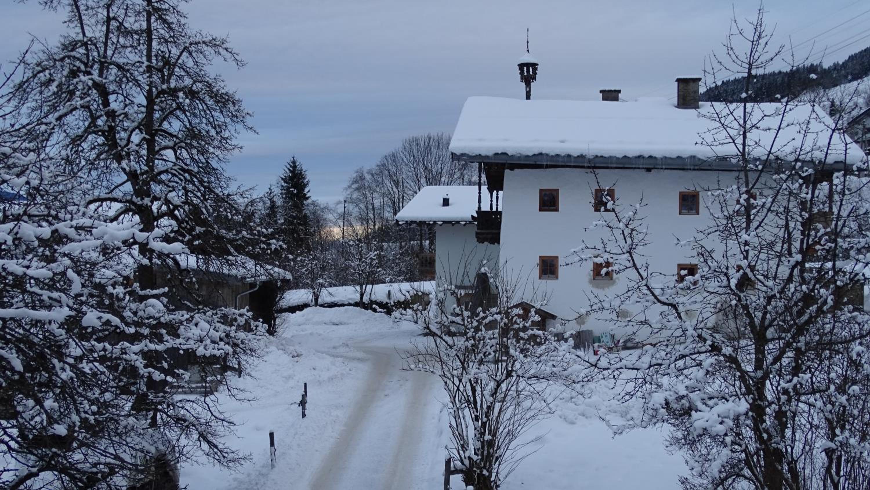 Chalet photo 3