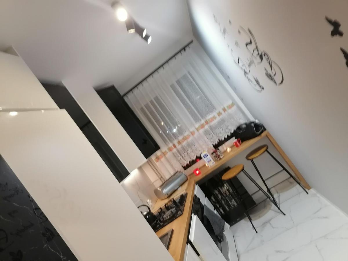 One-Bedroom Apartment - Photo 5