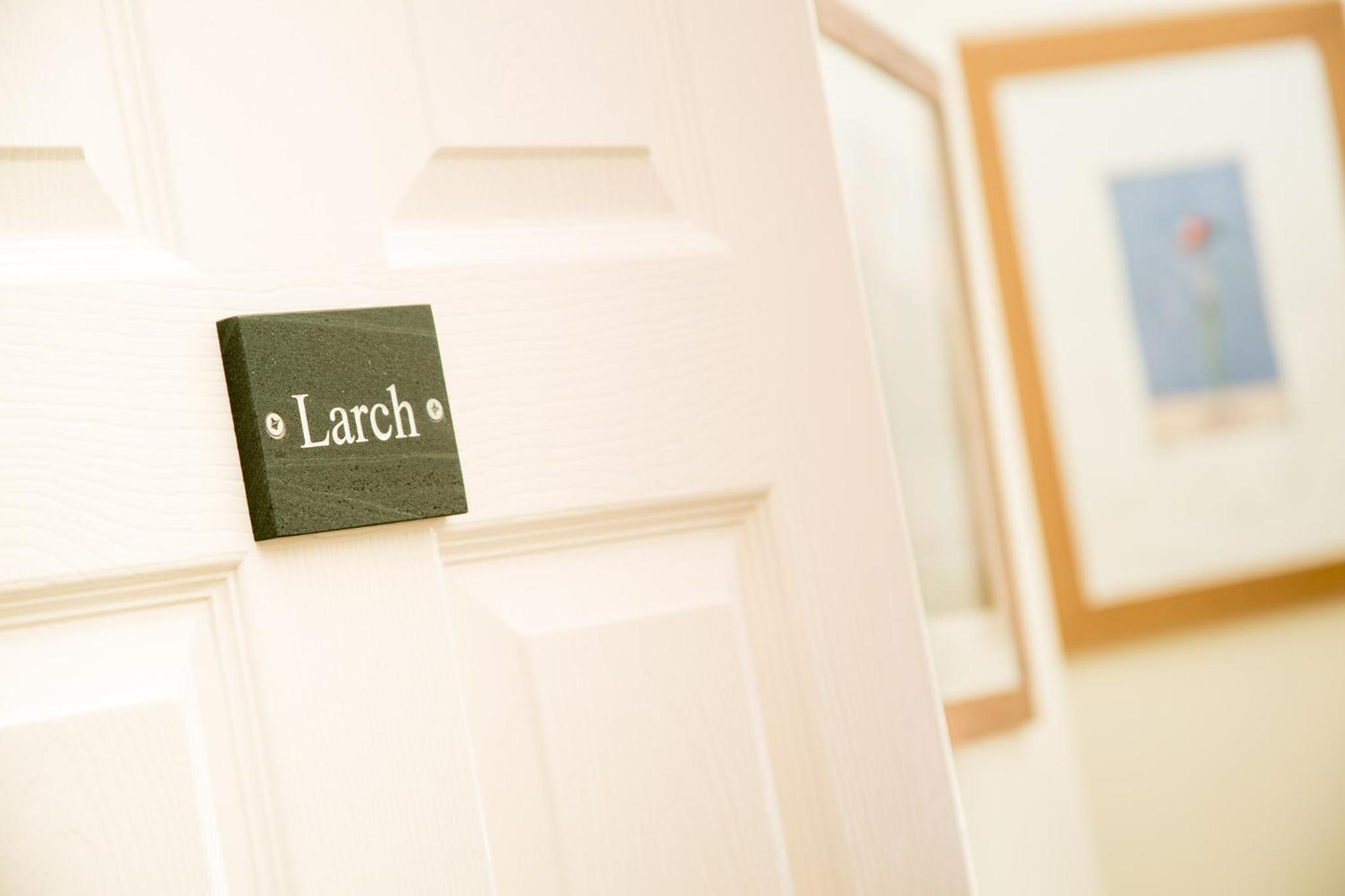 Larch - Classic Double - Photo 5