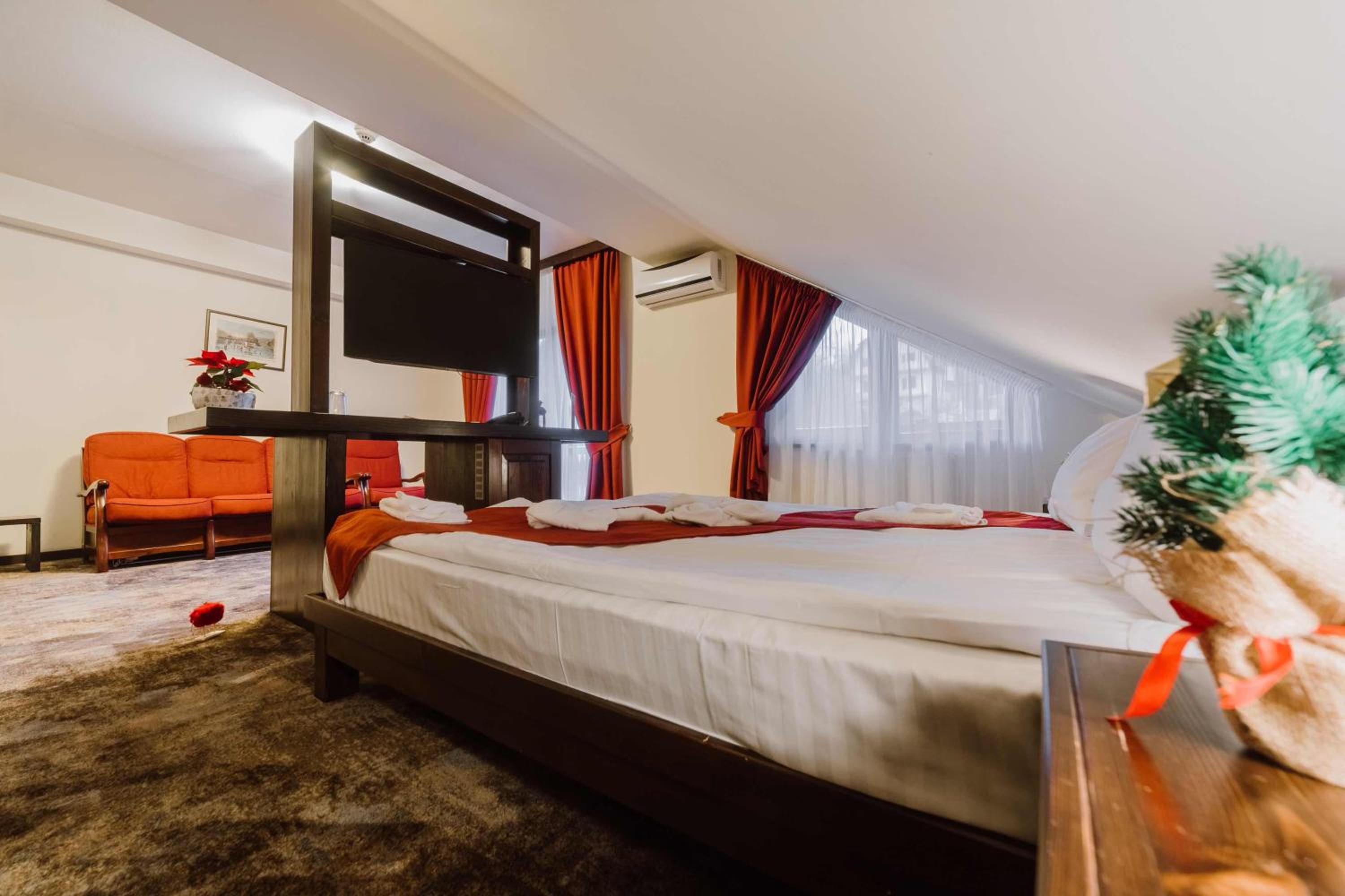 Suite - Photo 3