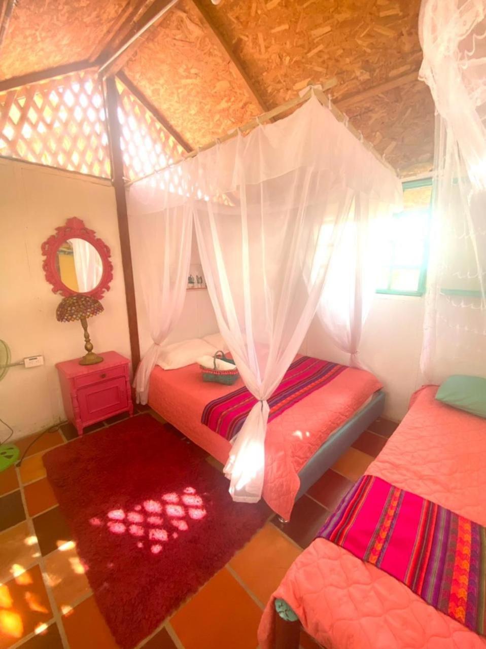 Chalet photo 1