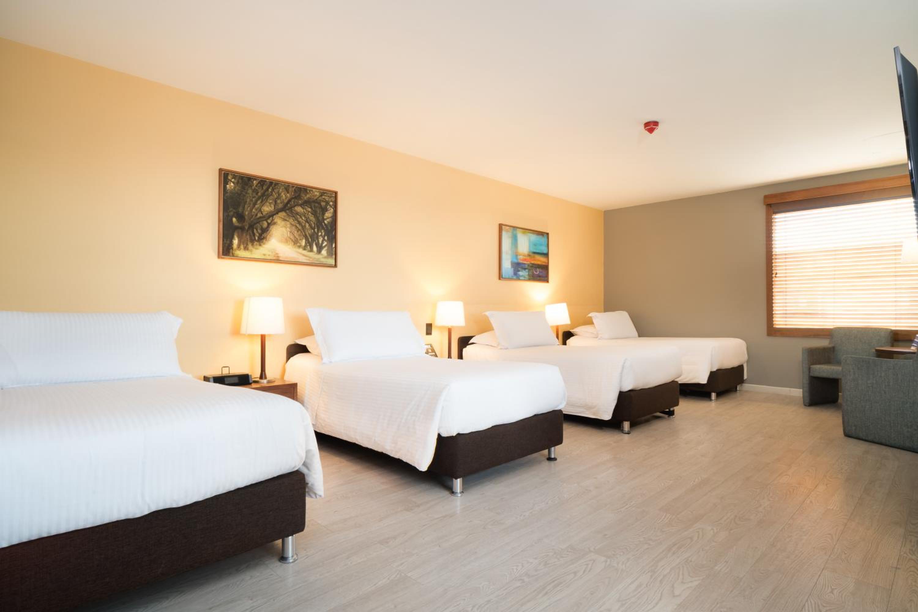 Standard Quadruple Room