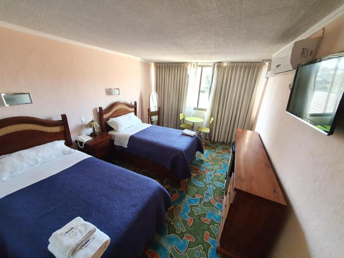 Twin Room photo 3