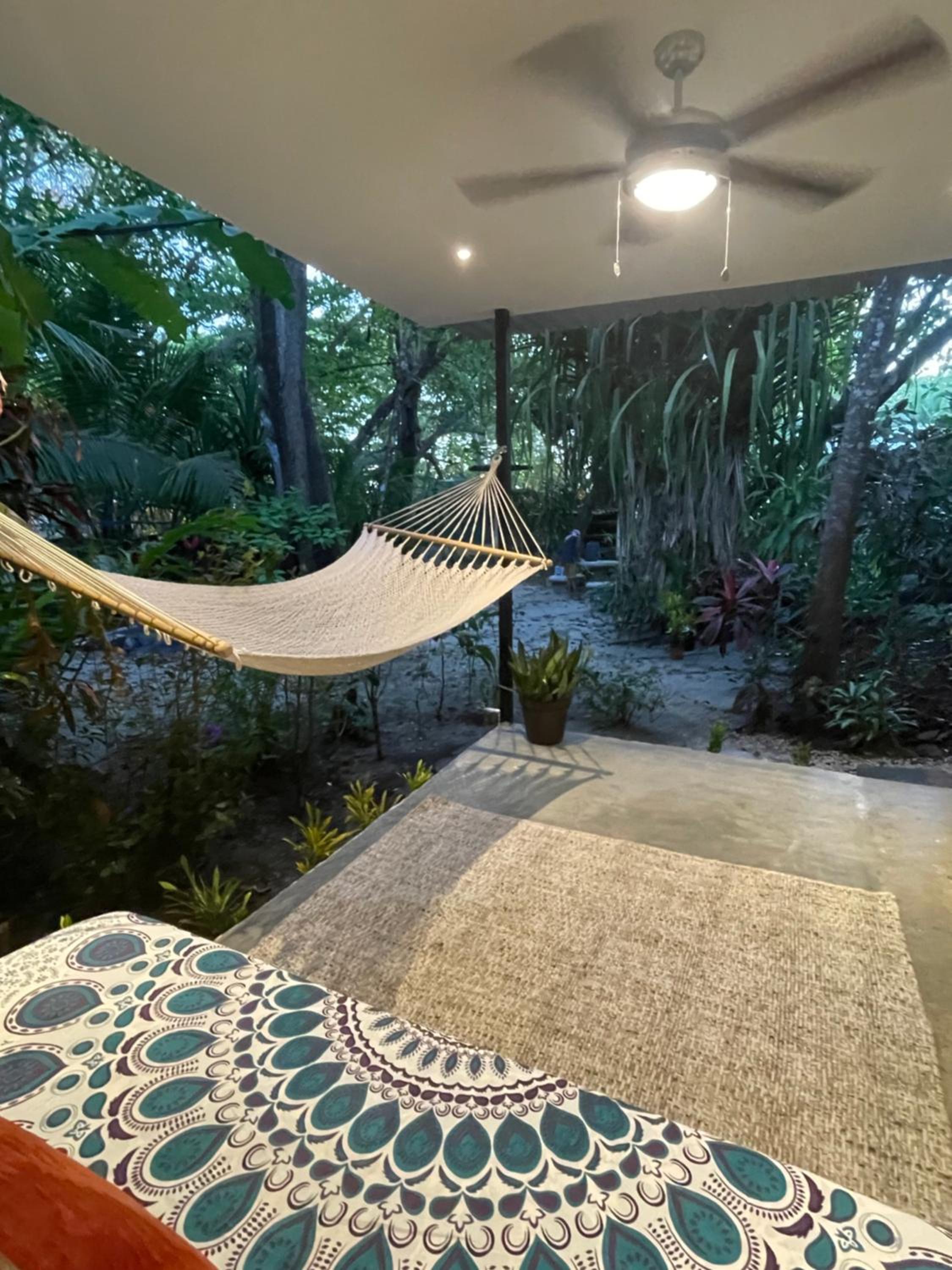Single Room with Garden View photo 3