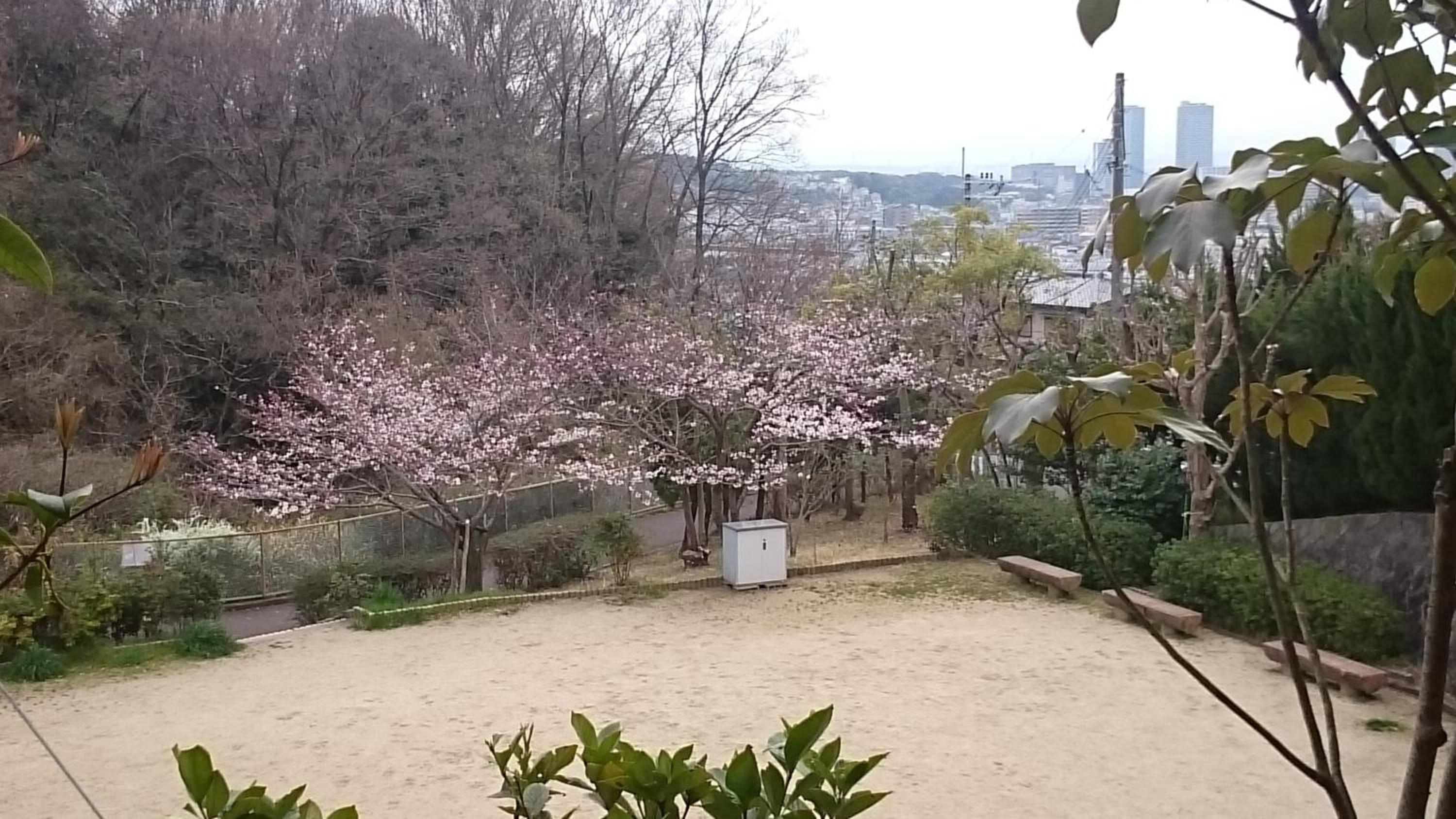 Double Room with Mountain View photo 2