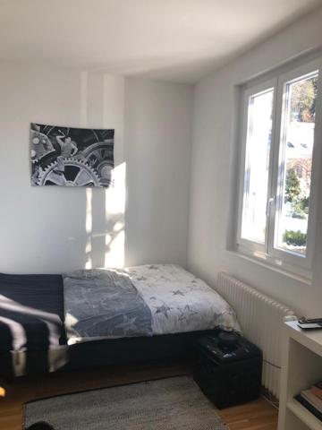 Single Room with Garden View photo 1