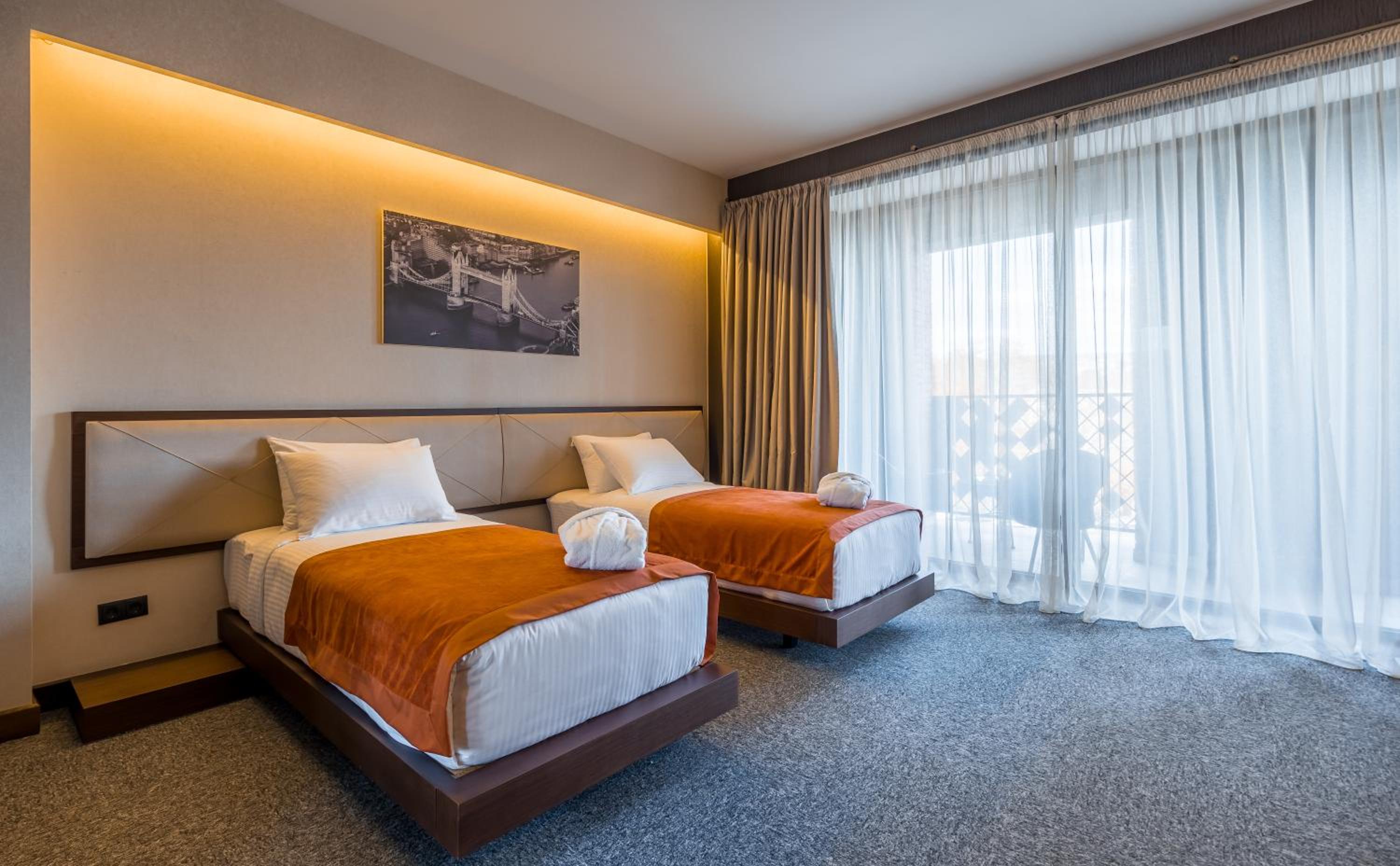 Deluxe Double or Twin Room with Balcony photo 1
