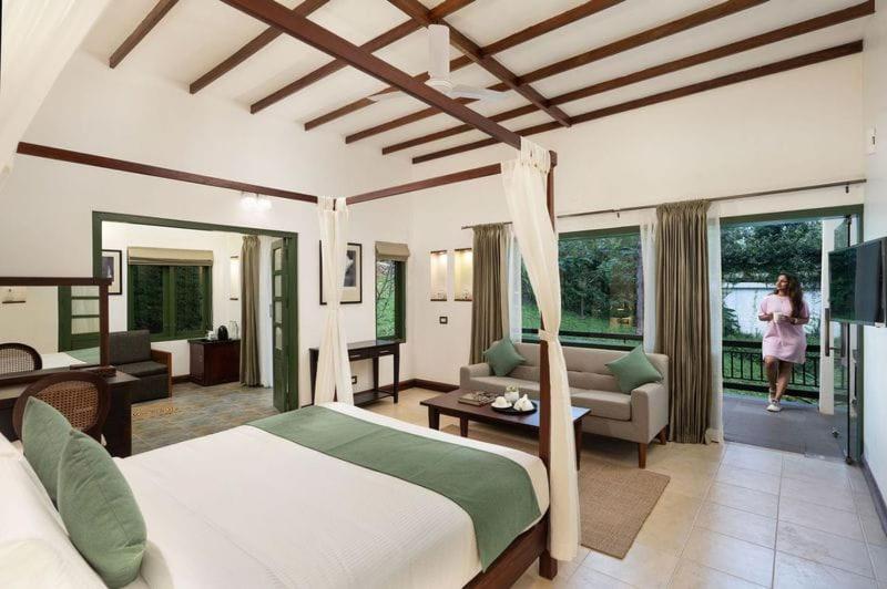 Deluxe Suite Room - Photo 11