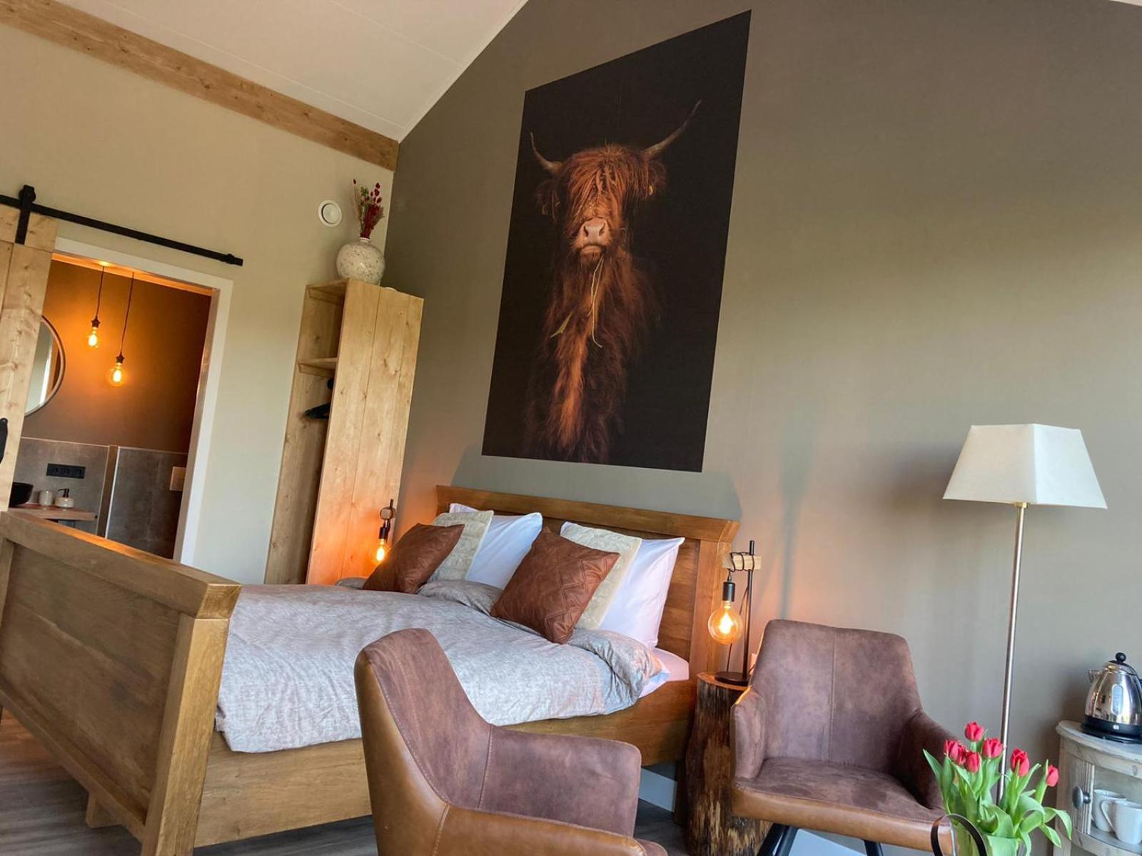 King Room photo 2